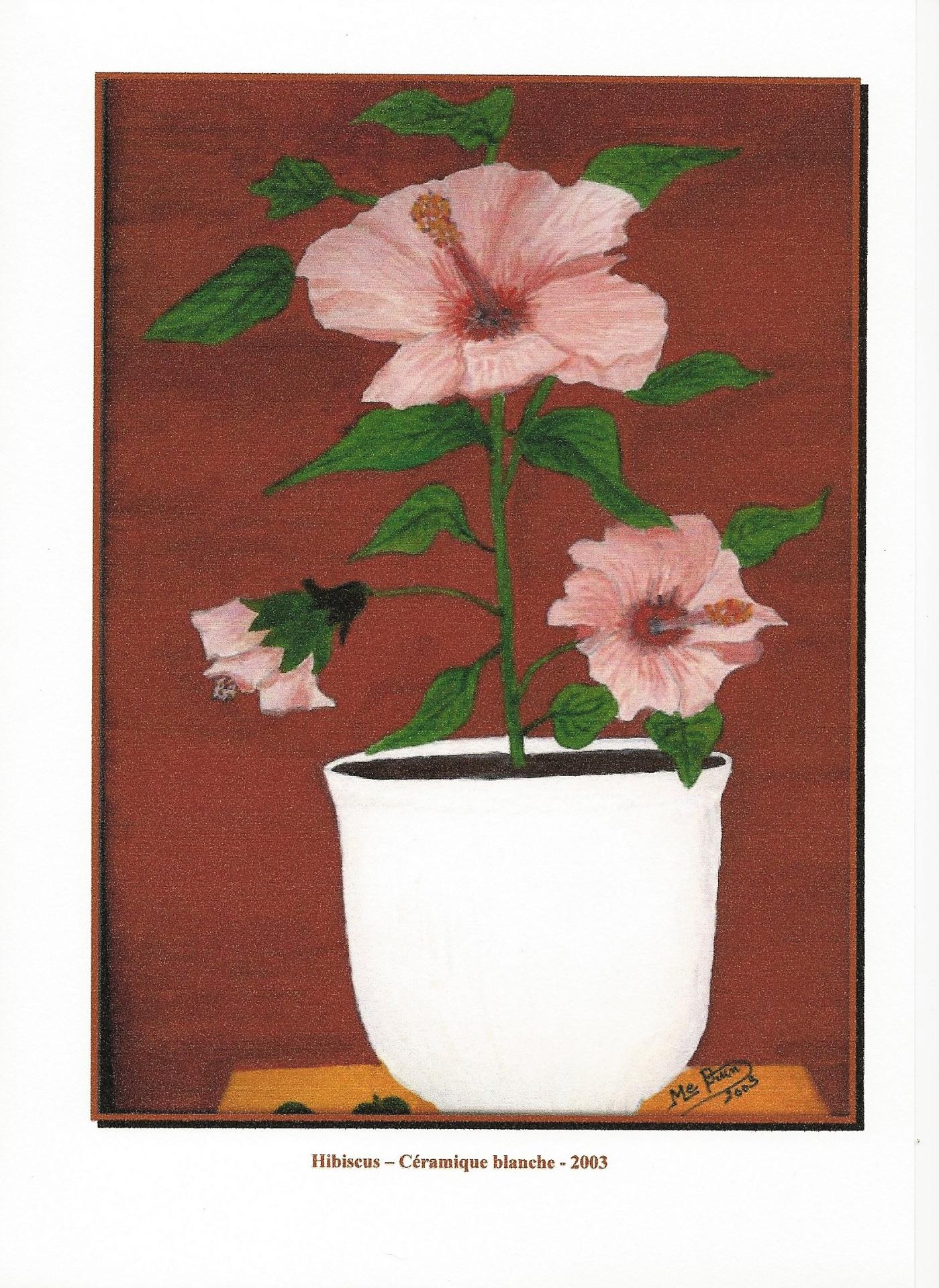 3 2003 hibiscus